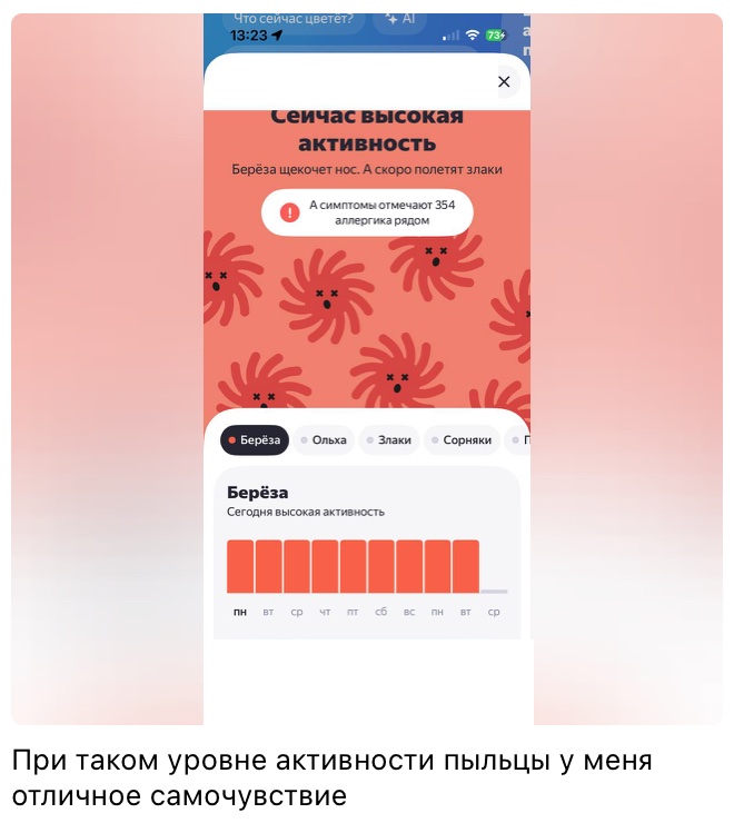 Скриншот приложения о пыльце: берёза, высокая активность девять дней подряд, подпись клиента: при таком уровне активности пыльцы у меня отличное самочувствие